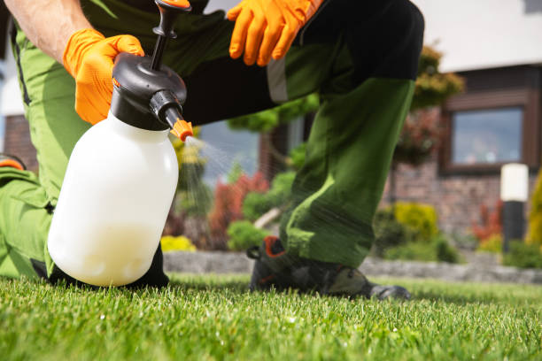 Best Ant Control Services  in Verona, WI