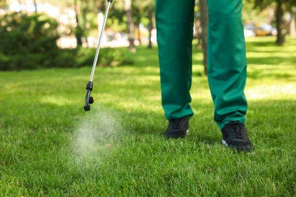 Best Mosquito Control Services  in Verona, WI