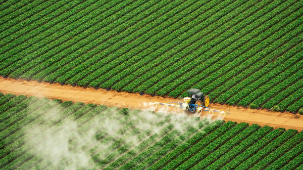 Best Pest Removal Services  in Verona, WI