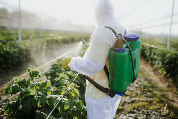Best Exterminator Services  in Verona, WI